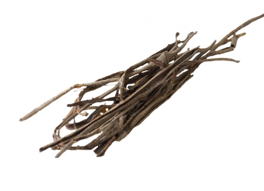 Кора тальника