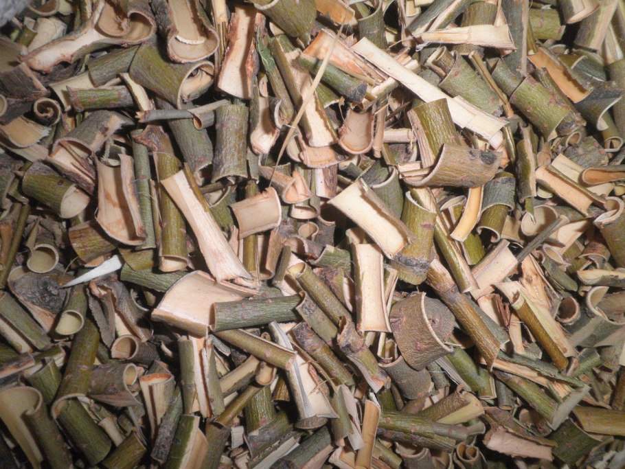 Кора дерева ивы