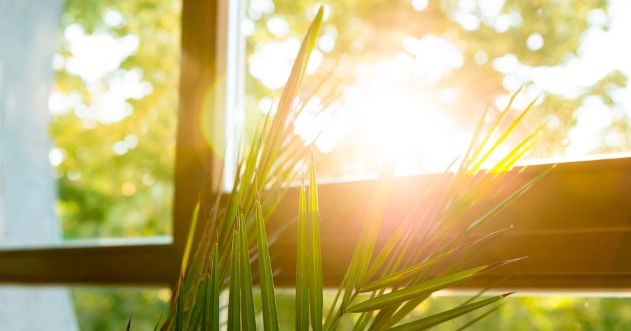 Солнечный свет в окно