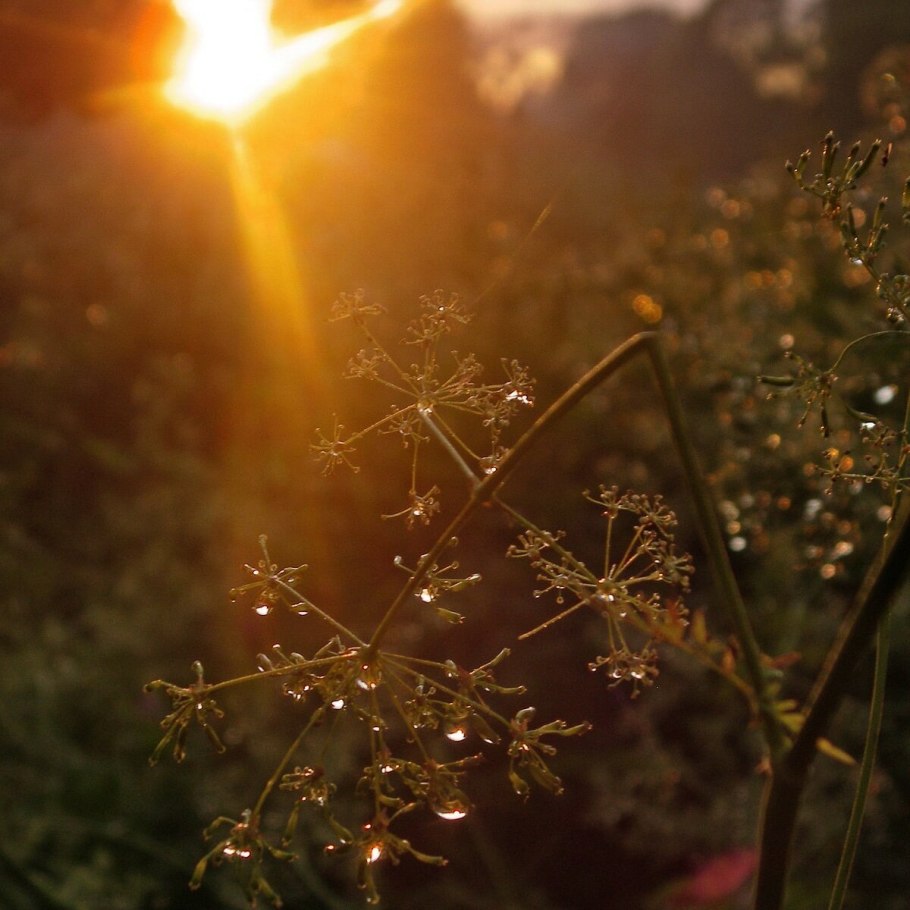 Рассвет закат