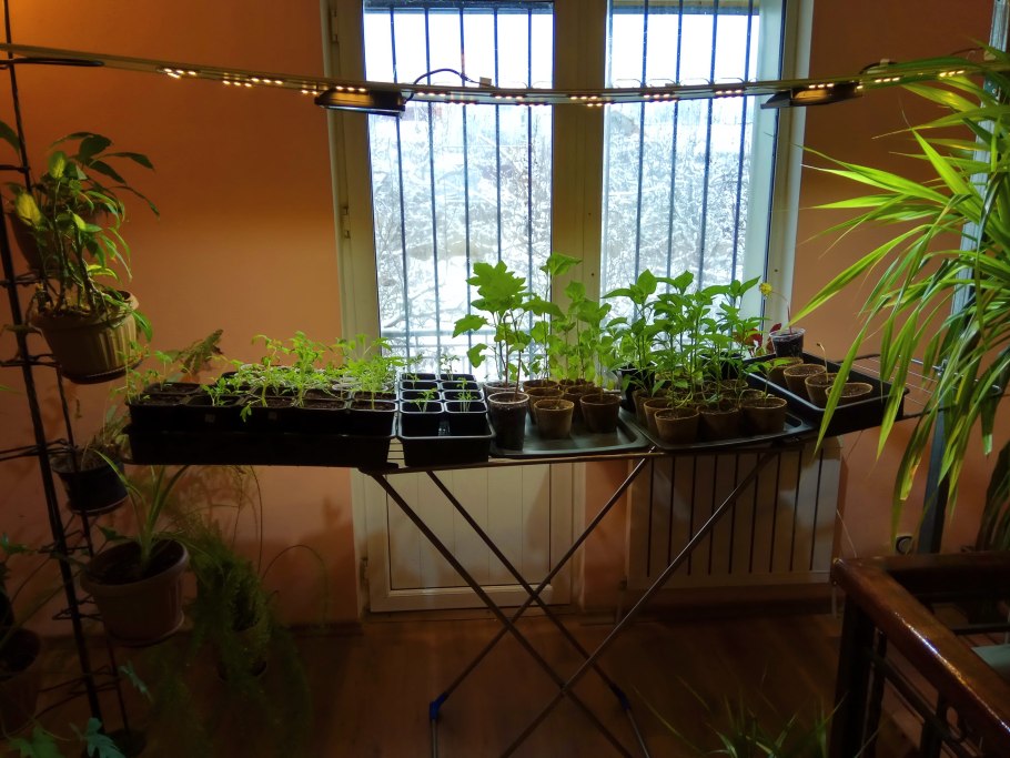 Подсветка для рассады