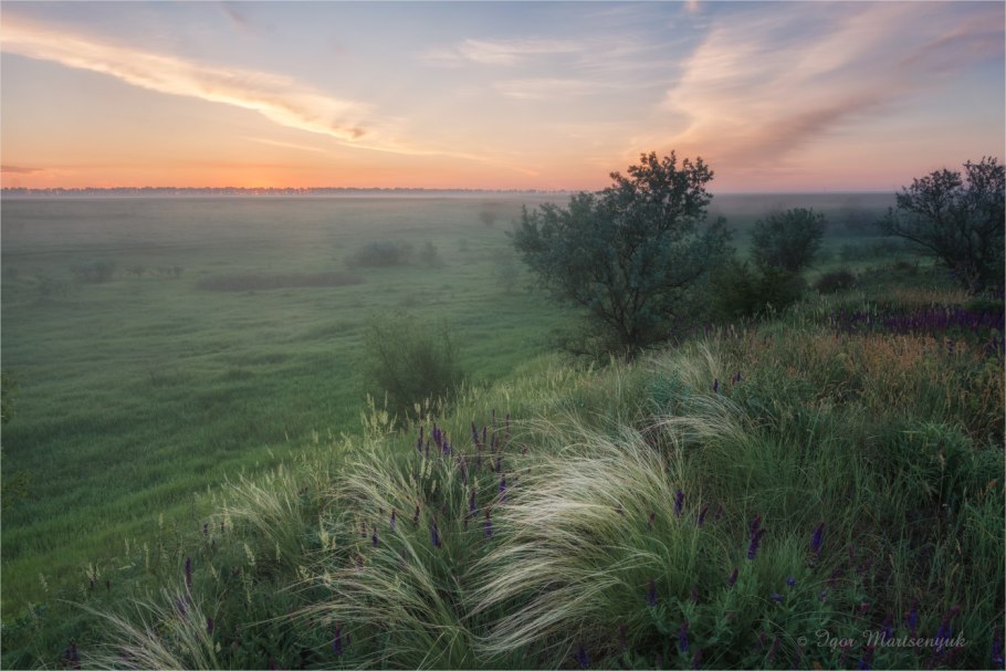 Море ковыля осень
