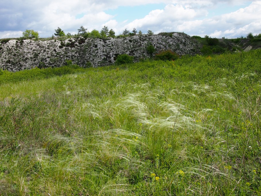 Меловые обнажения