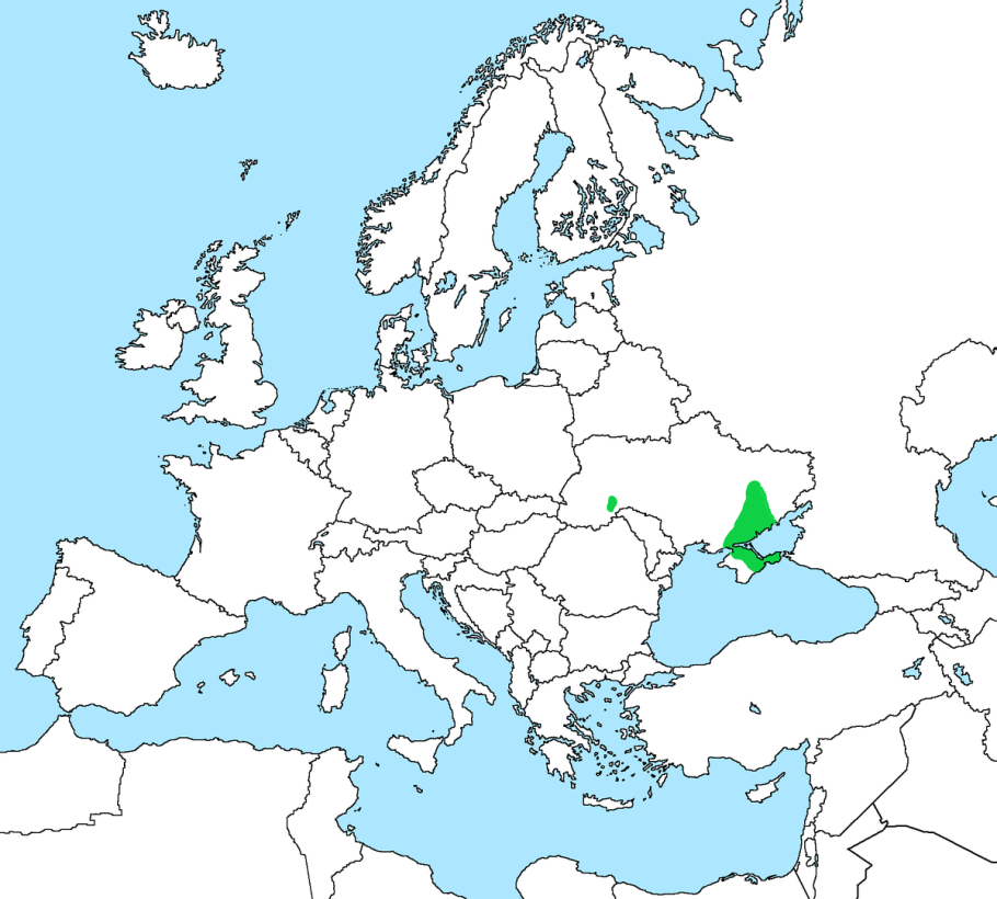 Лук поникающий слизун