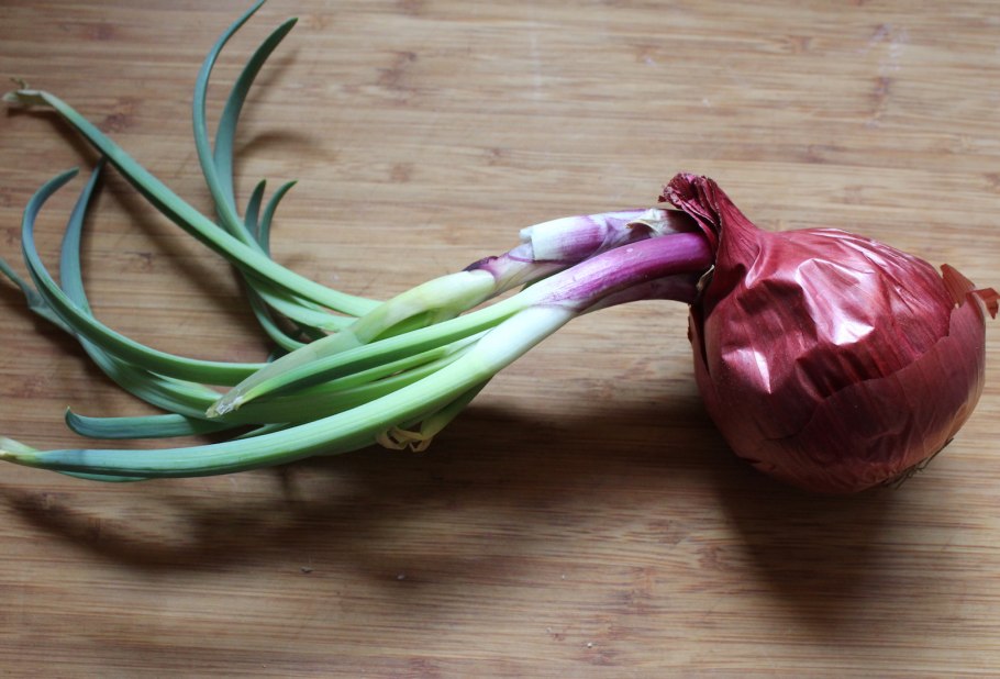 Смешно одетый ребенок