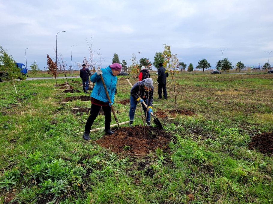 Высадка деревьев нижнекамскнефтехим