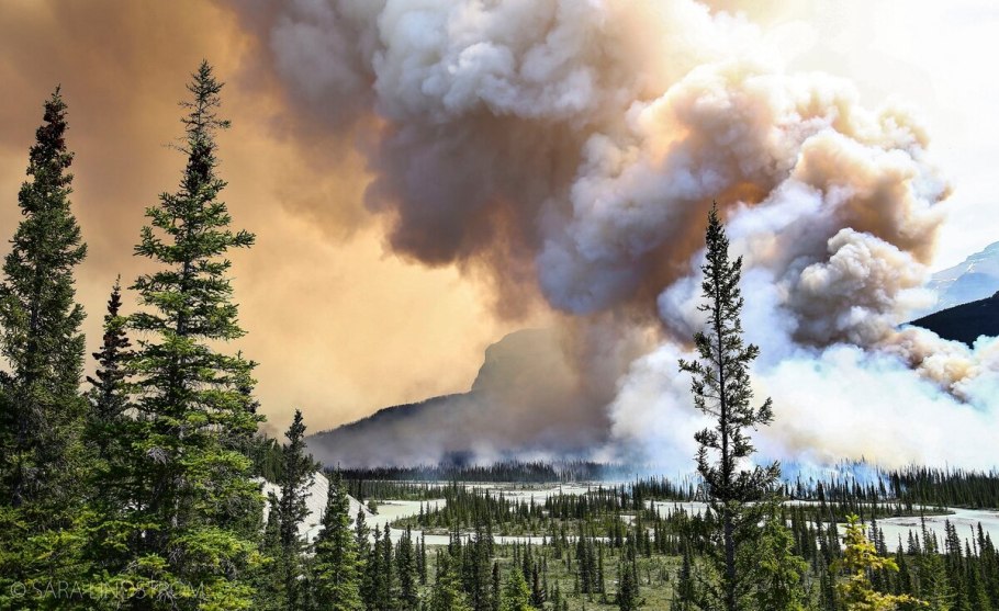 Антропогенные катастрофы в природе