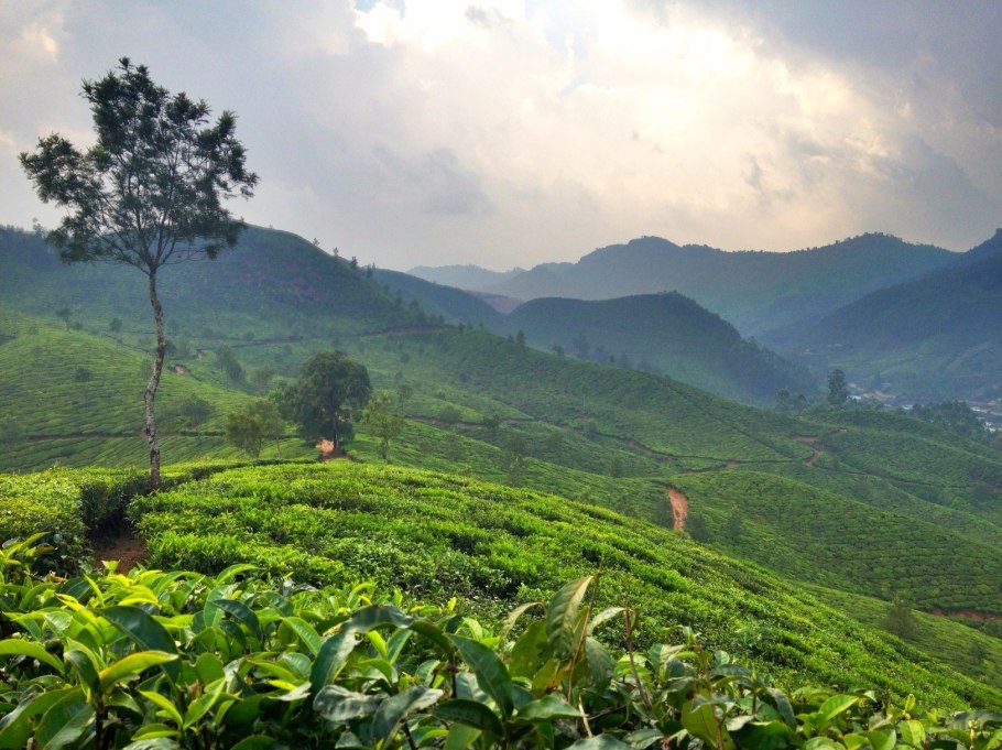 Munnar Индия
