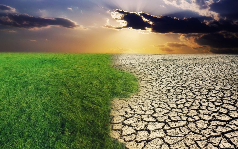 Зеленая пустыня