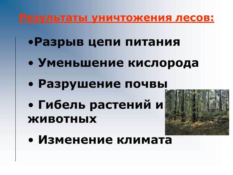 Уничтожение лесов презентация