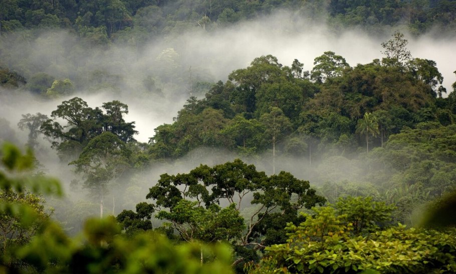 Тропические леса Индонезии горы Керинчи