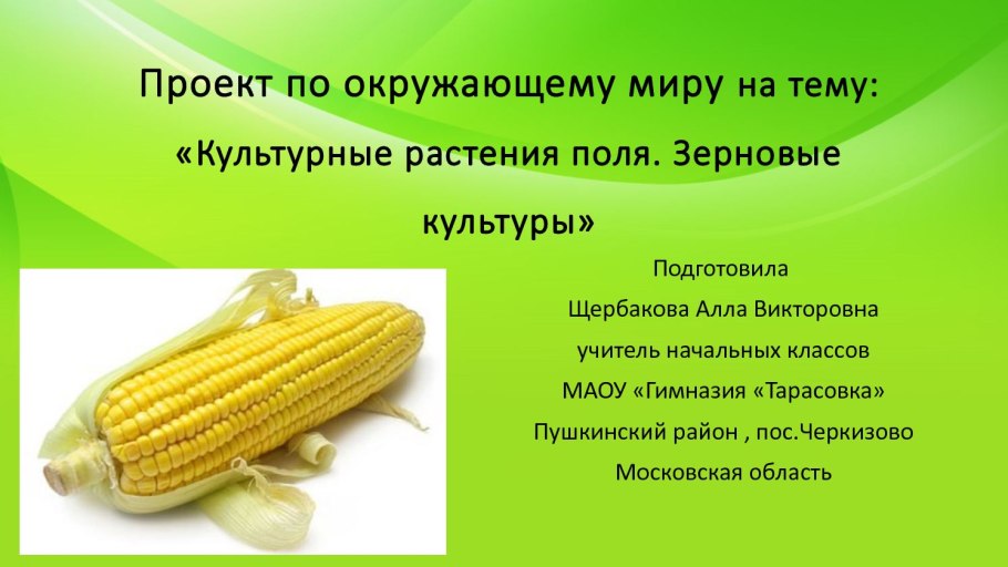 Центр происхождения сахарного тростника