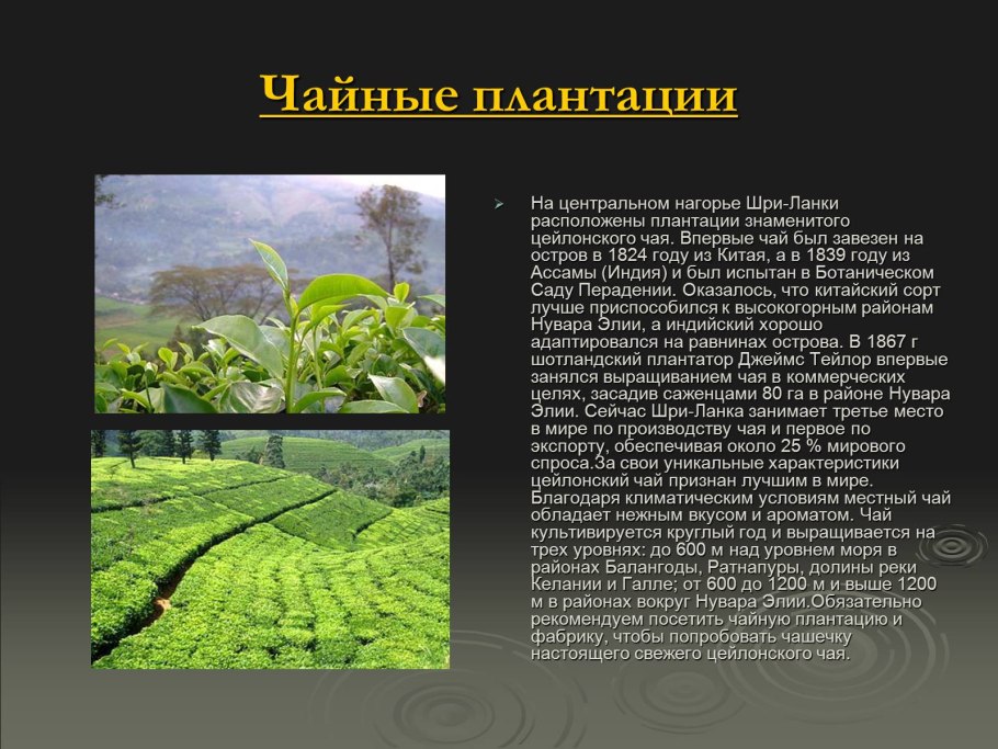 Центр происхождения культурных растений Америки.