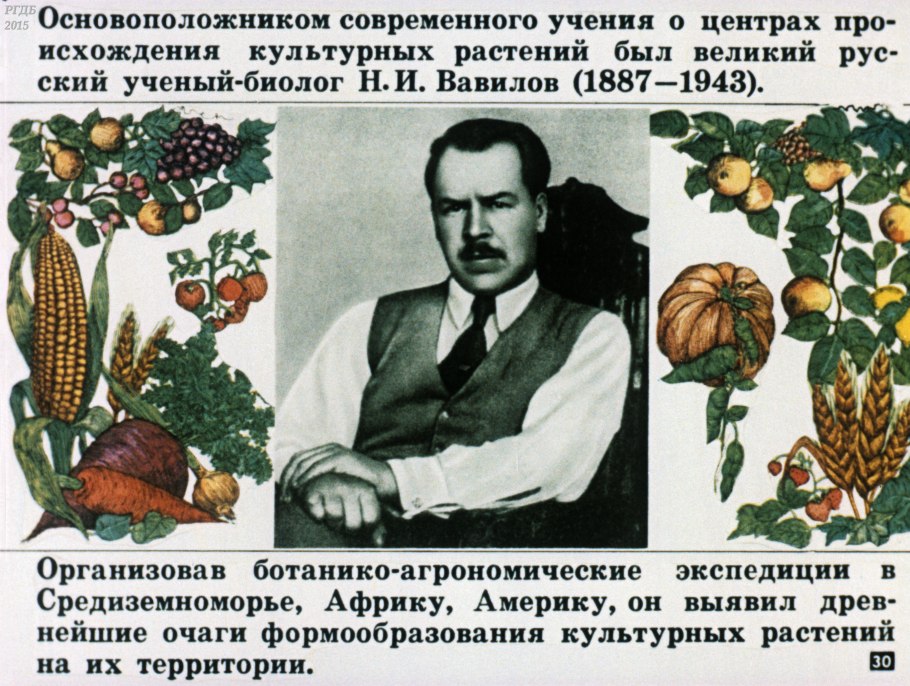 Культурные растения материков