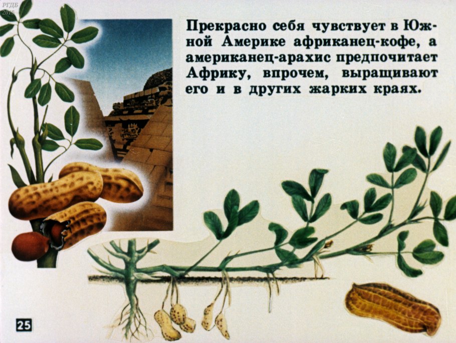 Сообщение на тему важнейшие сельскохозяйственные растения