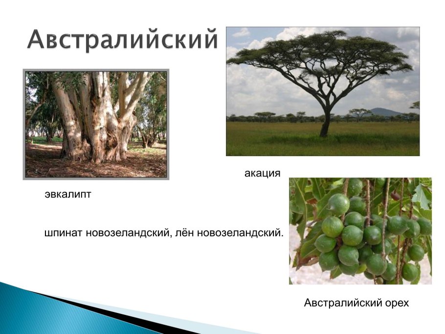 Кукуруза в Мексике