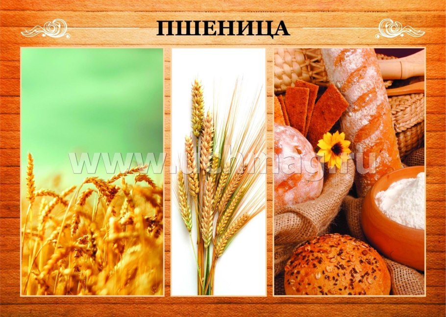 Растительность саванны культурные растения