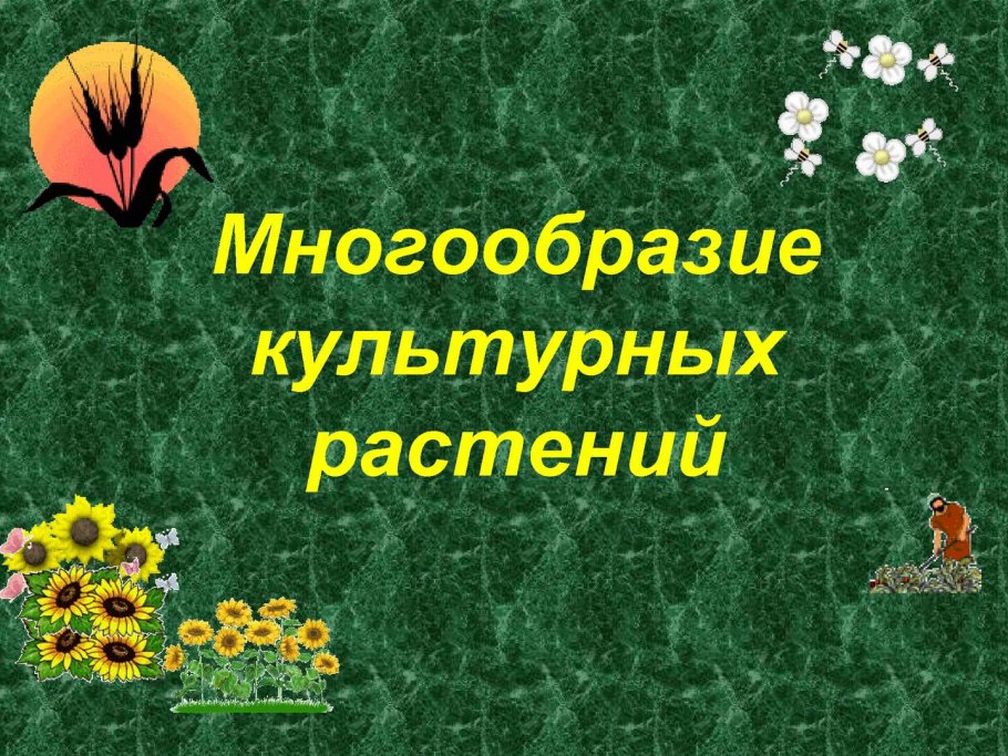 Патагонская Фабиана