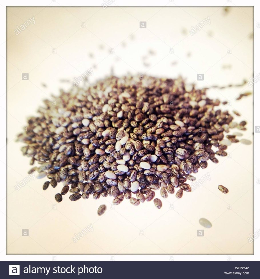 Шалфей короткоцветковый