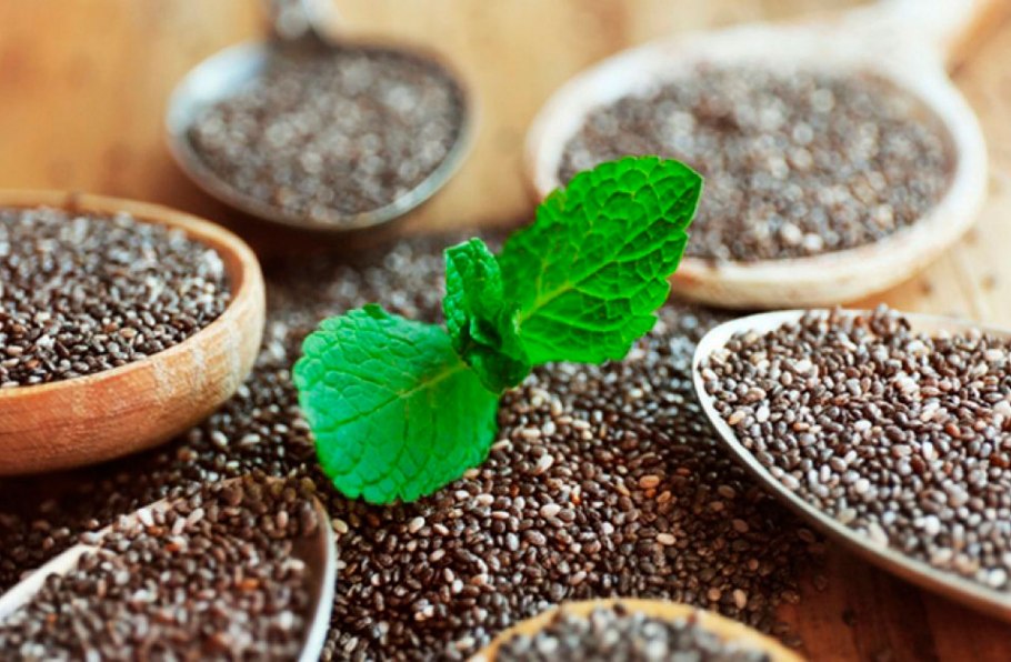 Семена чиа растение