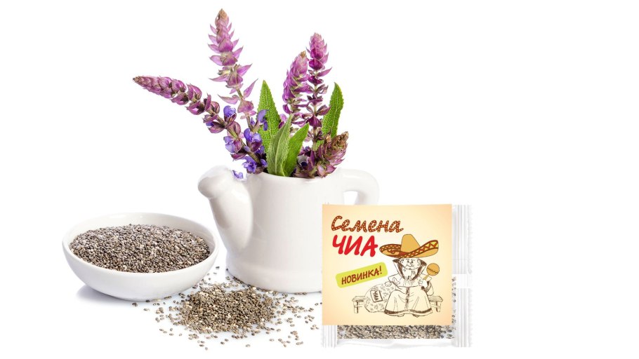 Сальвия Salvia Сальвия мучнистая