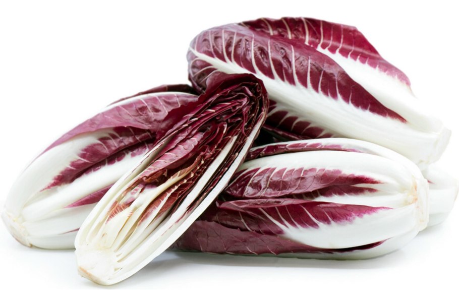 Итальянский цикорий радиккьо