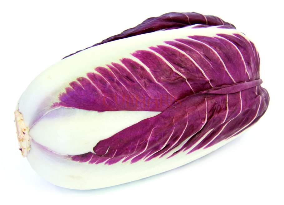 Капуста радичио