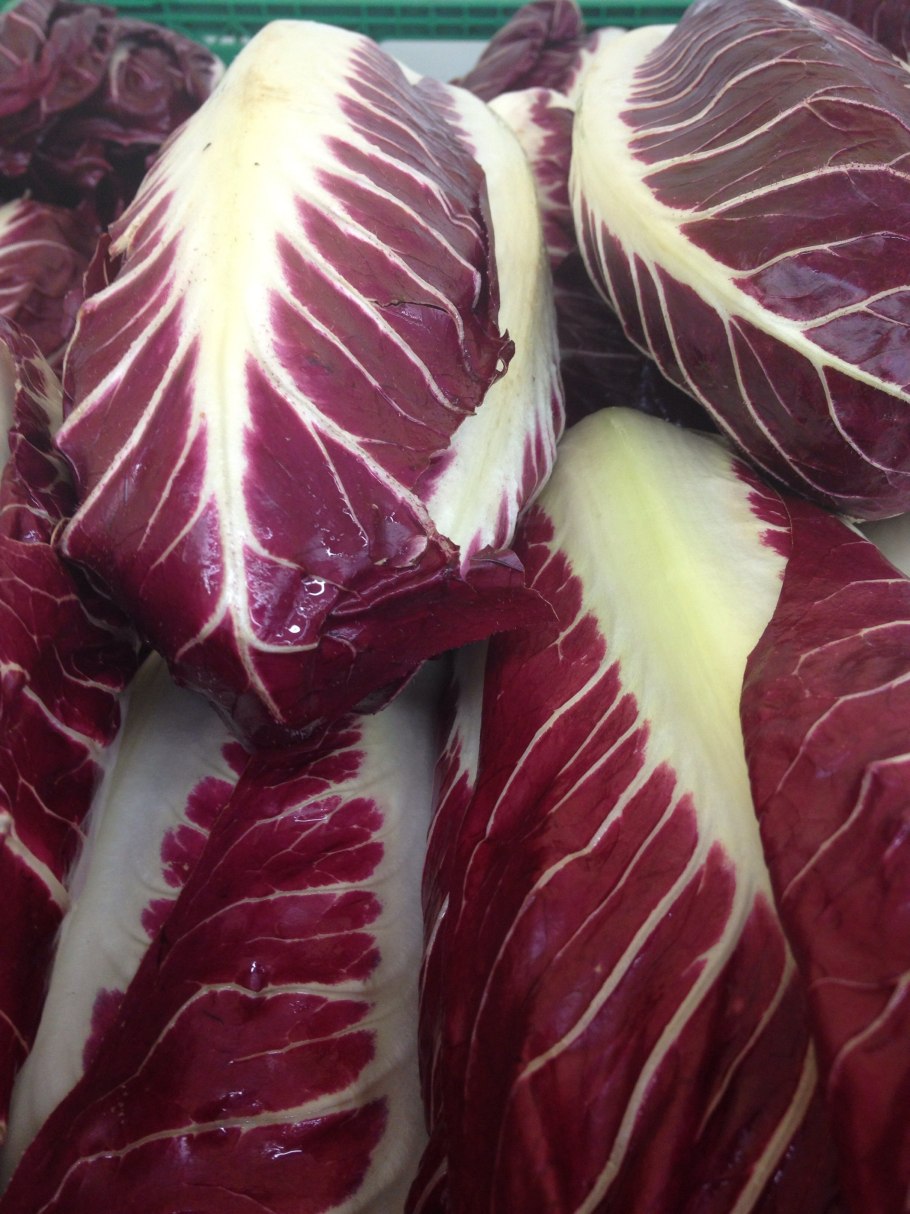 Спадоне радиккио