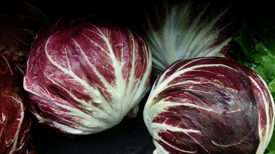 Эндивий пала Росса