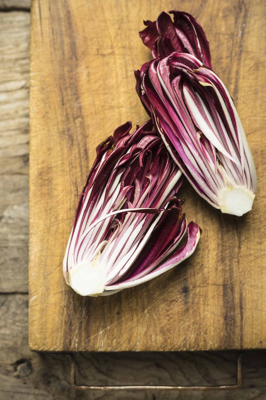 Красный цикорий (радиккьо)