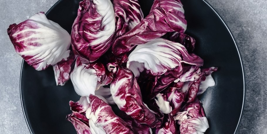 Radicchio разновидности