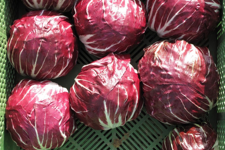 Салат радичио Россо