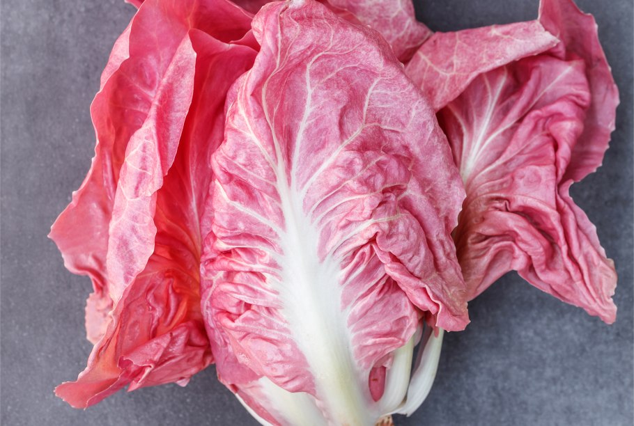 Эндивий радиккьо