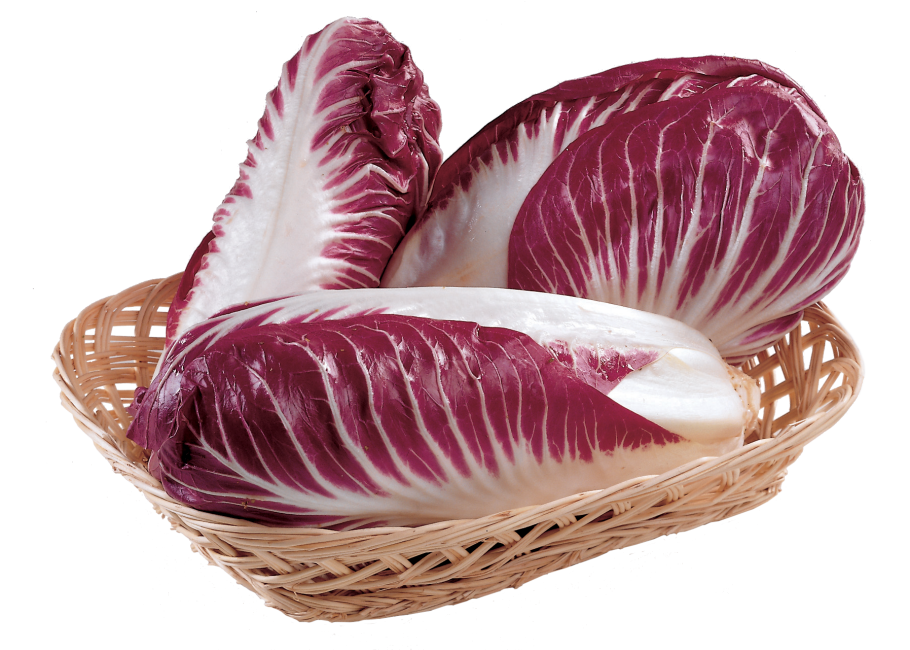 Радиккио ди Кьоджа