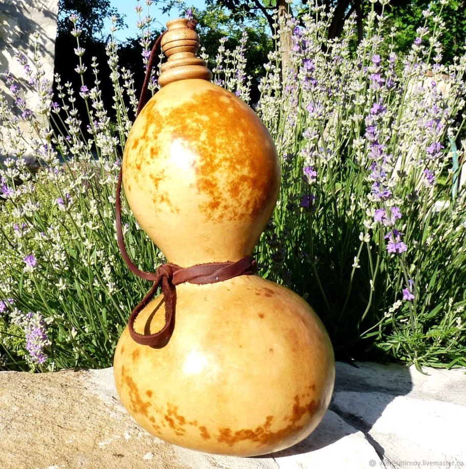 Лагенария (горлянка)