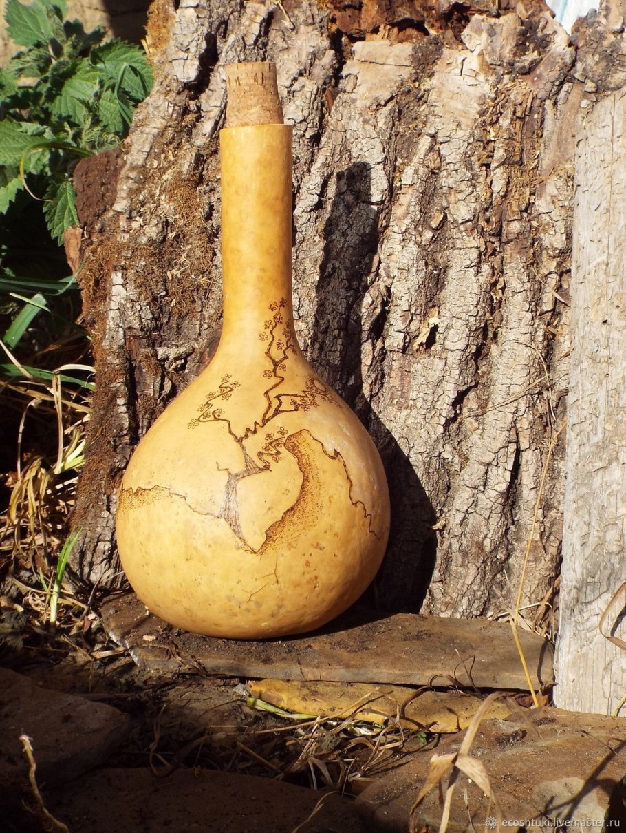 Лагенария Посудная тыква