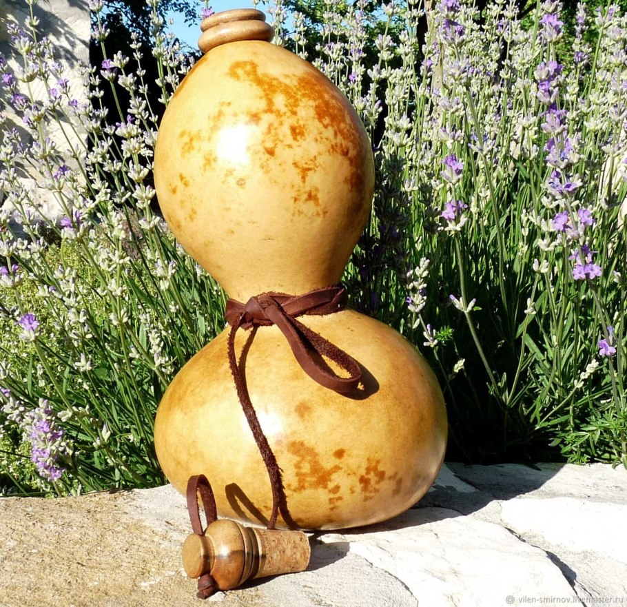 Лагенария калебаса