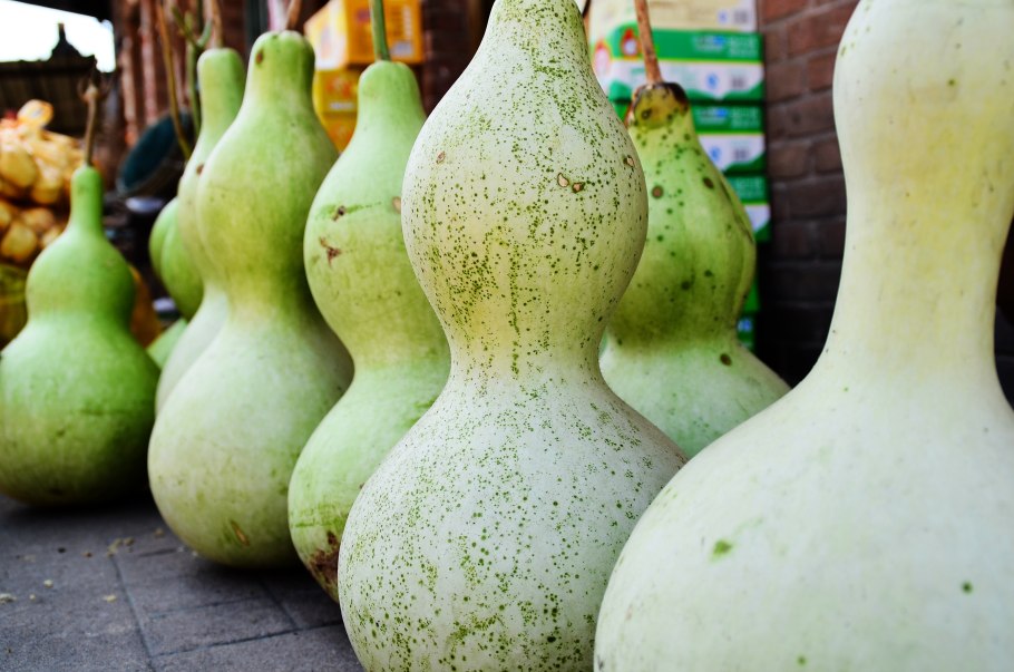 Бутылочная тыква лагенария