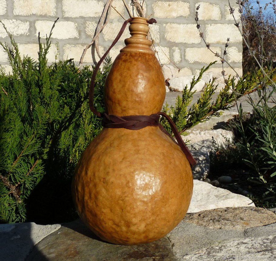 Лагенария калебаса