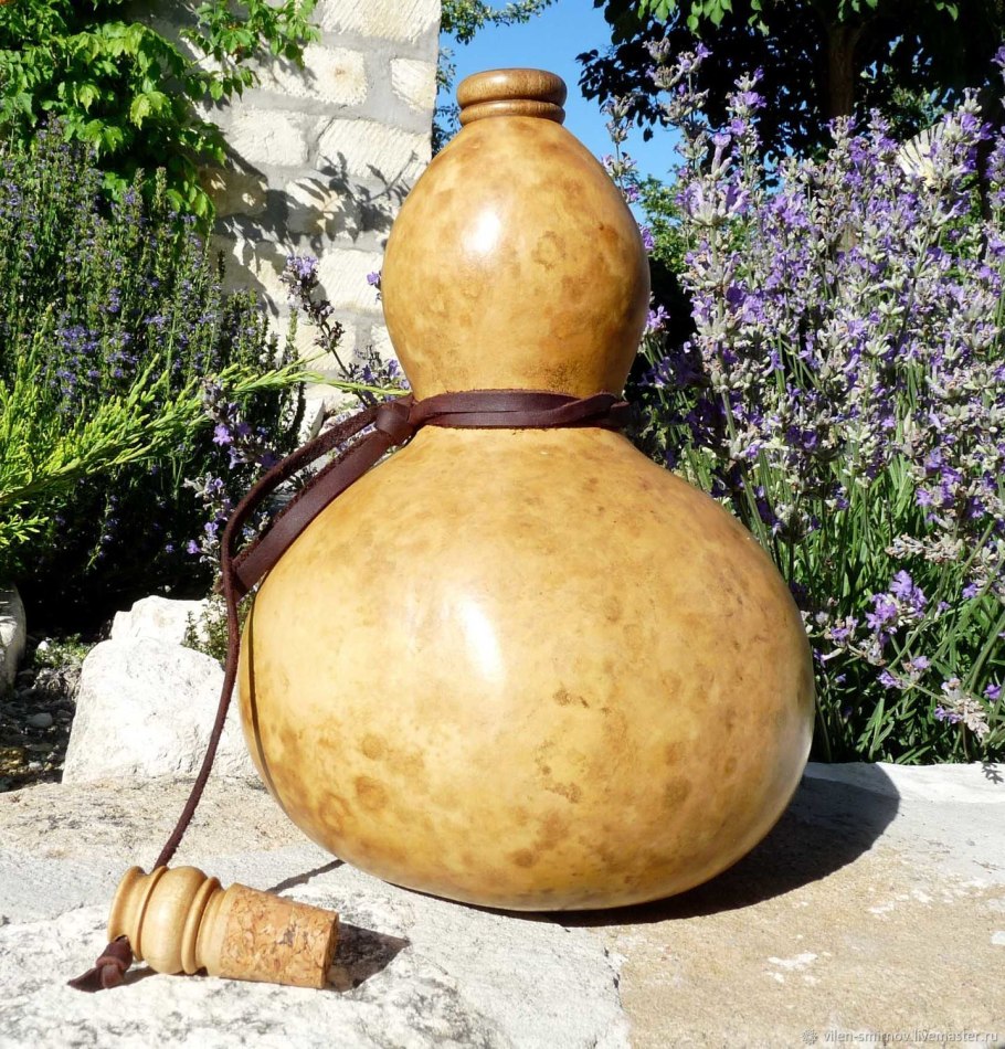 Тыква горлянка - лагенария