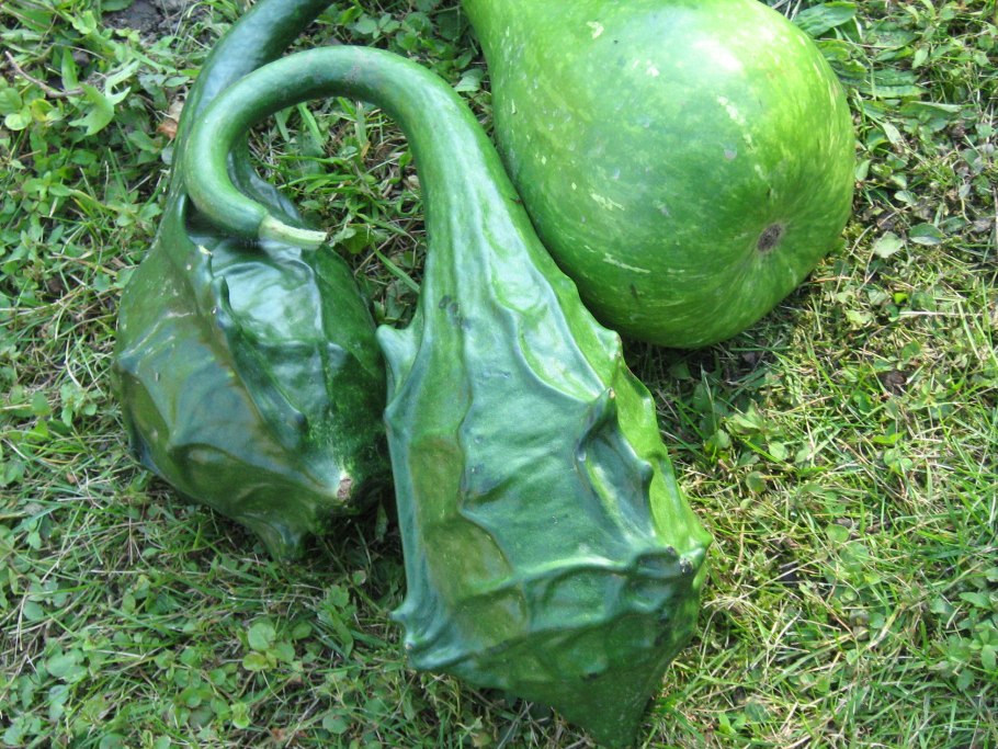 Тыква лагенария семена
