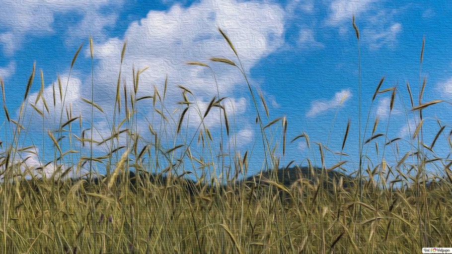 Пшеницы 5d