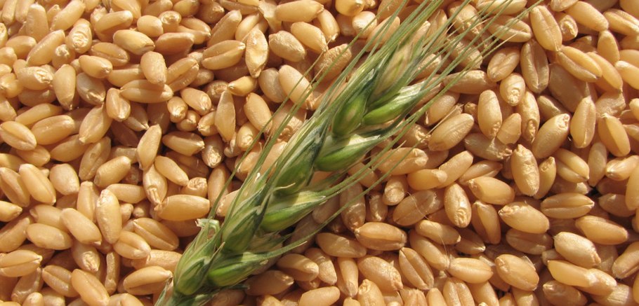 Эрик Уотсон фермер