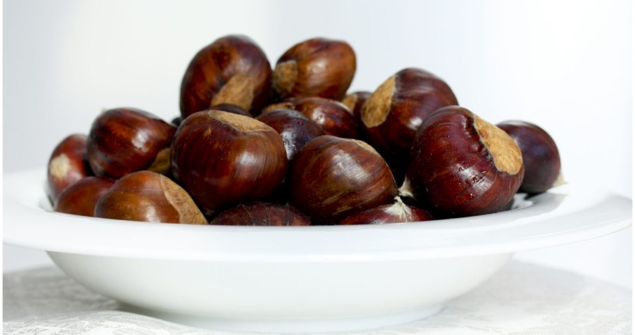 Конский каштан обыкновенный плод