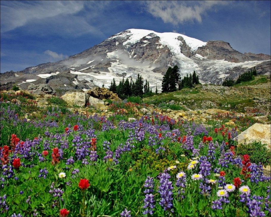 Mt rainier national park