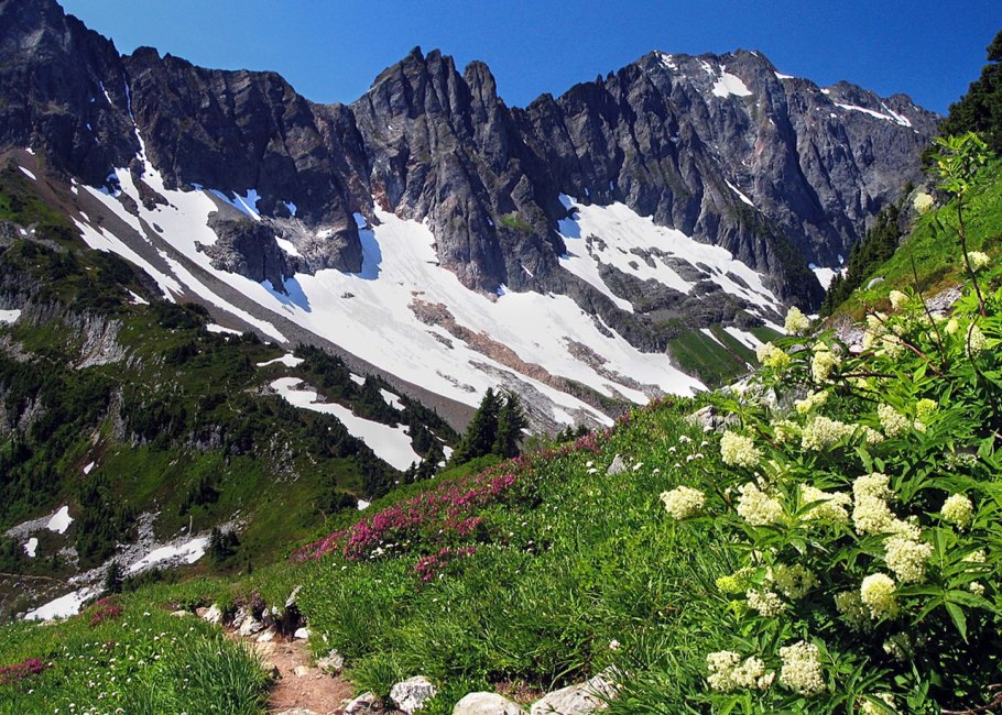 North cascades national park
