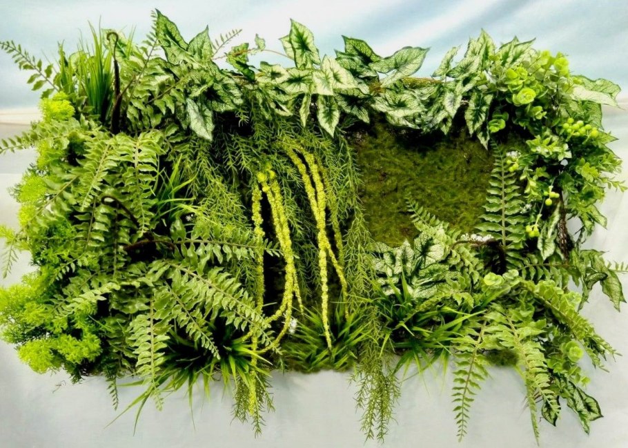 Папоротник волосатик