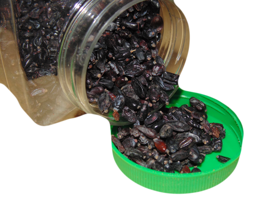 Барбарис обыкновенный препараты