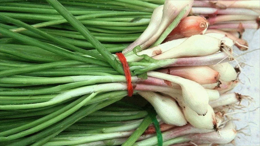 Дикий лук аллиум