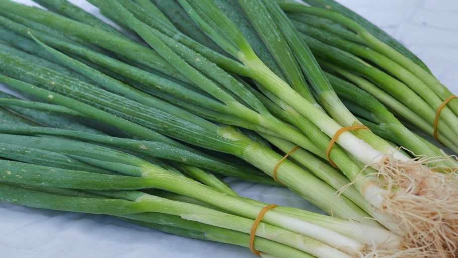 Лук слизун батун